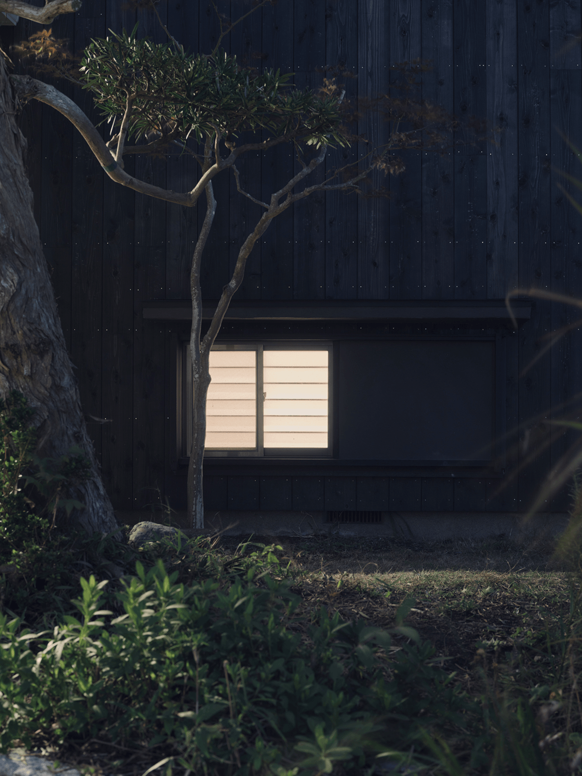 A&H House - Tall Image 25