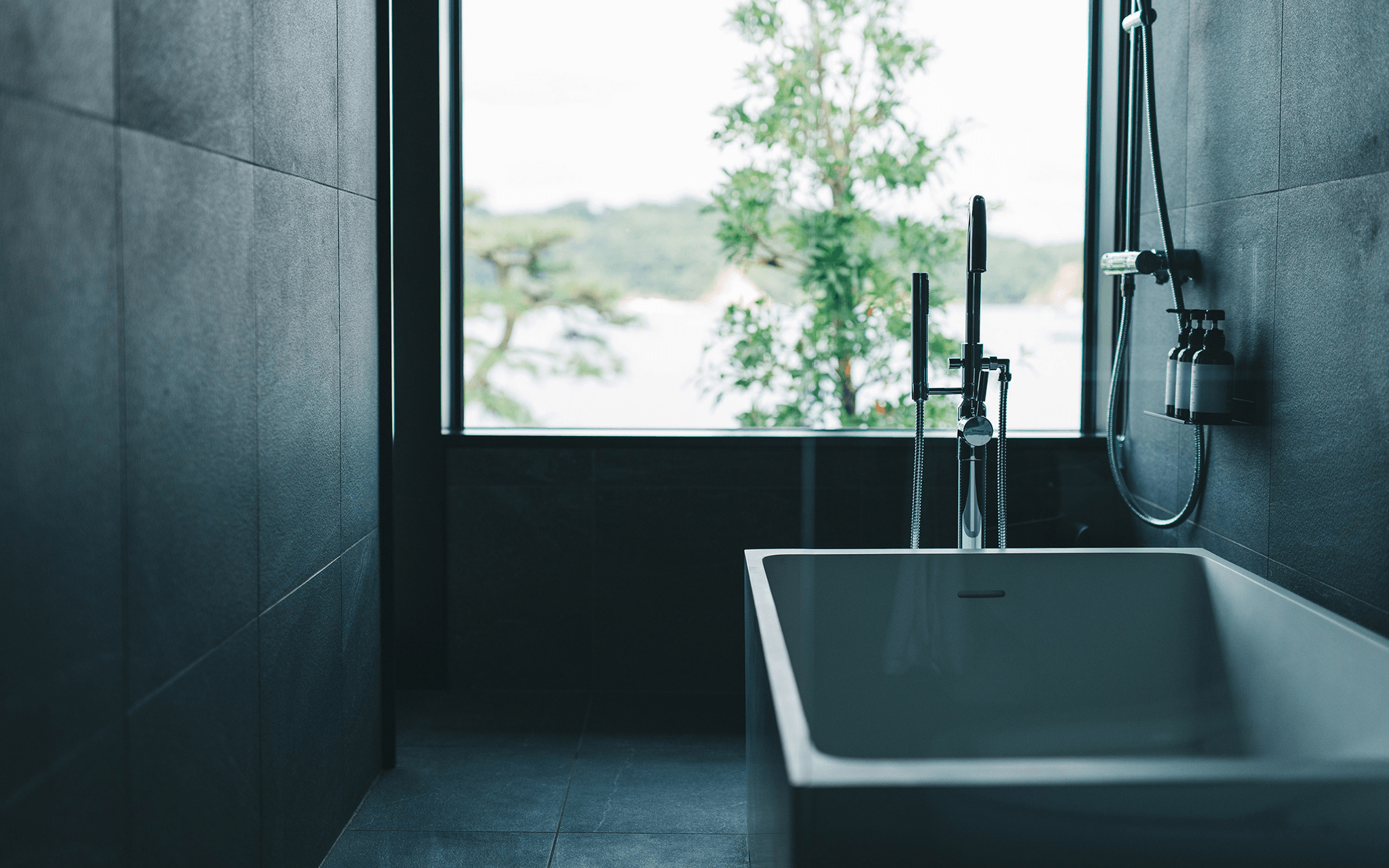 MOKU ISESHIMA - Wide Image 1