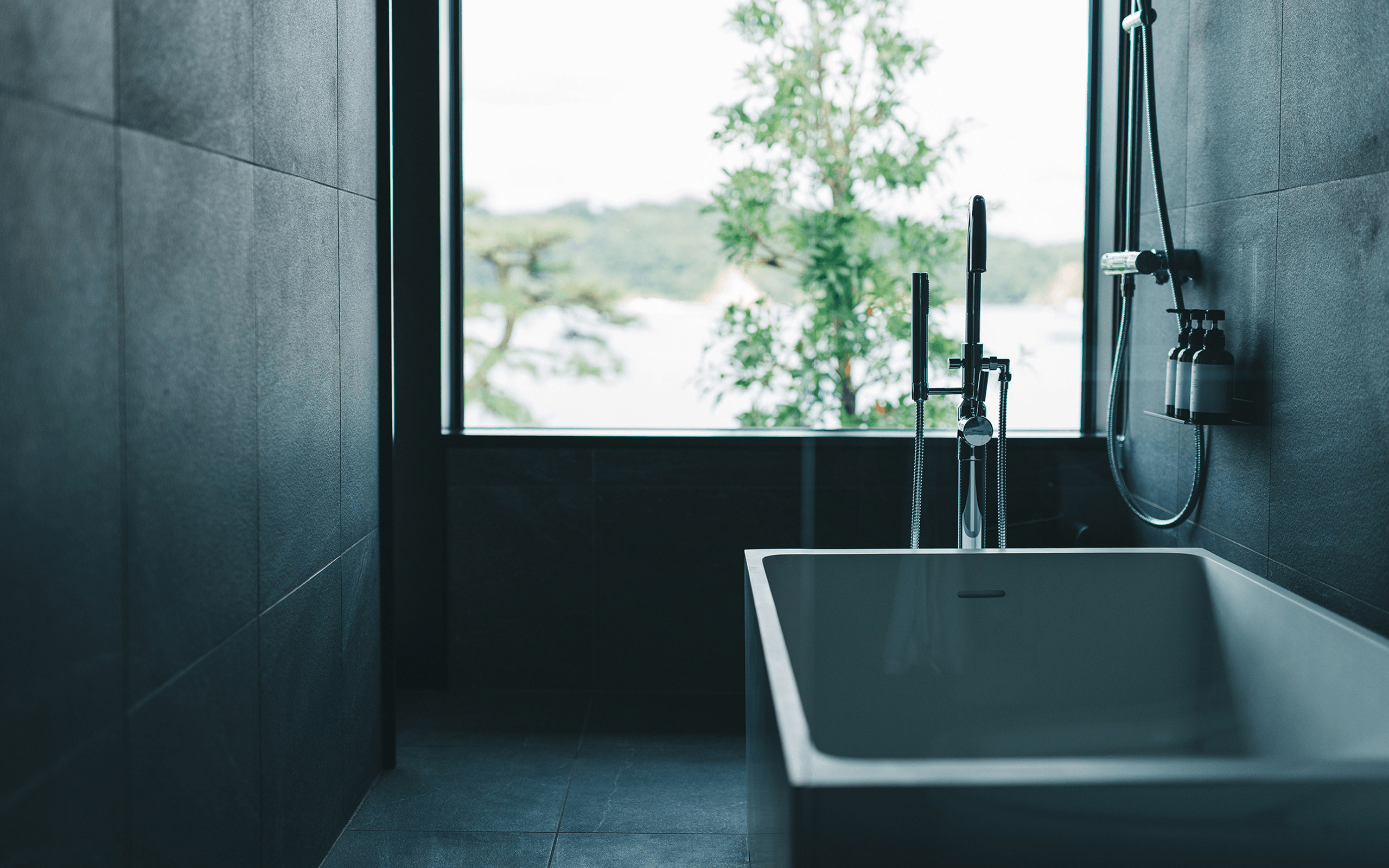 MOKU ISESHIMA - Wide Image 1